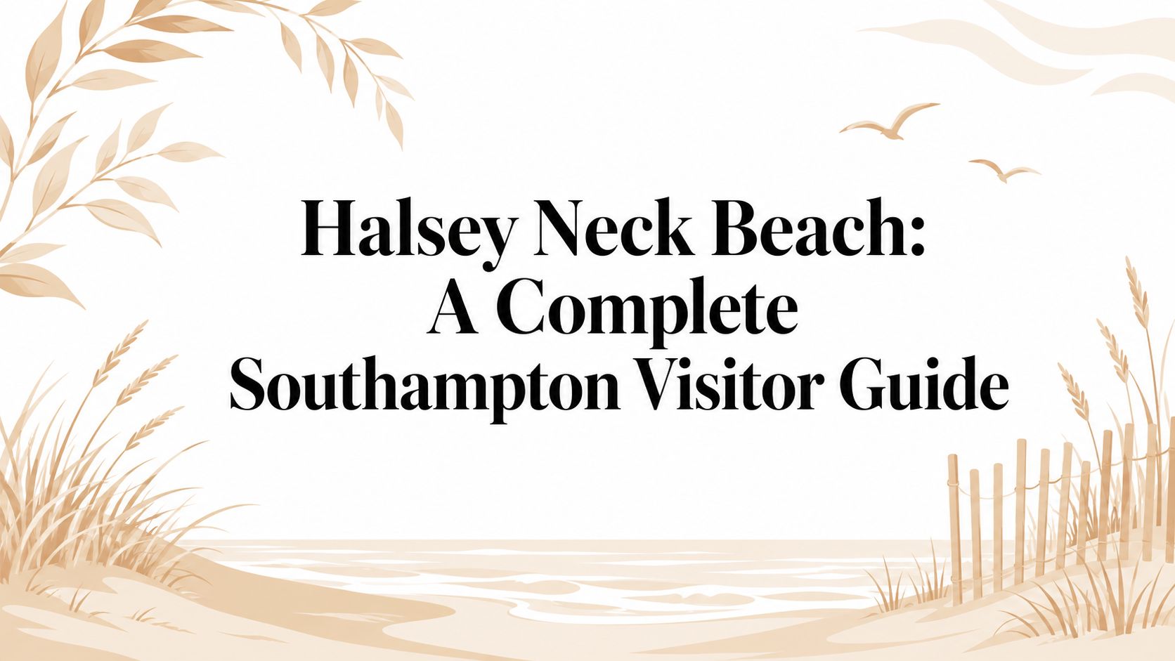 Halsey Neck Beach: A Complete Southampton Visitor Guide